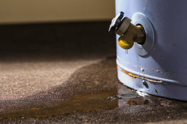 Trusted Niles, IL Water damage restoration Experts